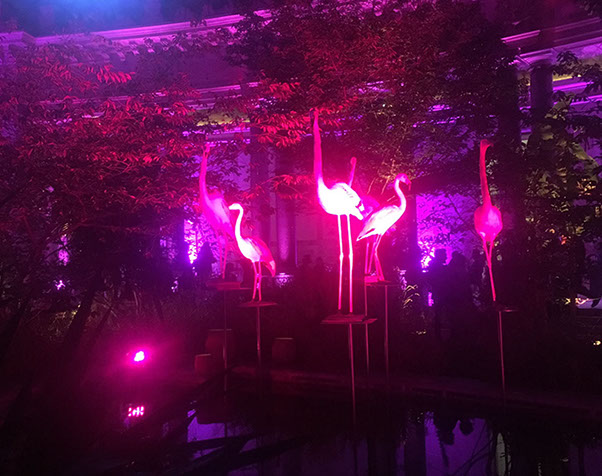 prestation f1 2016 avec éclairage